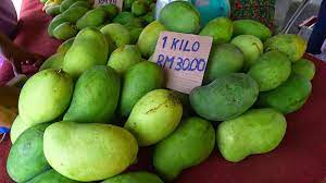 Asal usul mangga harum manis harum manis. Potensi Penanaman Mangga Harum Manis Harga Sekilo Mencecah Rm30 40 Kartel Dakwah