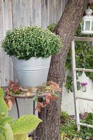 Check spelling or type a new query. Herbstdekoration Fur Hof Und Garten Depot Blog