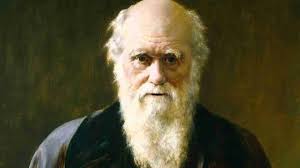 17 Kata-kata Bijak Charles Darwin, Ahli Geologi