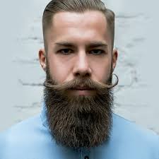 Check spelling or type a new query. Top 5 Hipster Beard Styles And How To Maintain Them