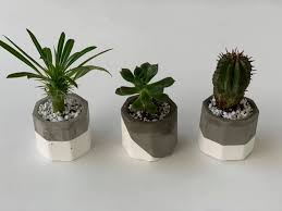 Spring in st george is in full swing, and the only thing hotter is our st george utah real estate housing market. Starr S Pots Plants 40 Photos Home Decor Saint George Ut