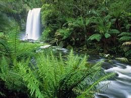 Auf diesem trail können sie vier tage lang über wolkenverhangen bergen, durch dschungelartigen regenwald und an unberührten stränden entlang wandern. Top 10 Aktivitaten In Cairns Tolle Tipps Fur Deinen Urlaub Campervanvermietung Australia