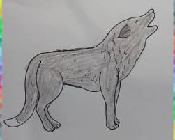 Drawings refer to a drawing object or a group of drawing objects. How To Draw A Wolf Easy Archives How To Draw Step By Step