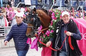 Elitloppet 2020 vanns av propulsion. Hoga Forvantningar Pa Elitloppet 2020 Gratis Travtips Svenskatrav