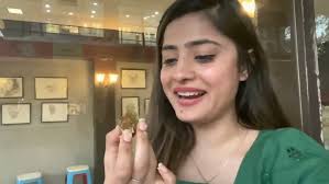 Neeti Mohan Lifestyle 2022, Age, Husband, Biography, Cars, House, Family,  Income, Salary & Networth