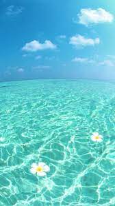 Download wallpapers sea for desktop and mobile in hd, 4k and 8k resolution. Cute Sea Wallpapers Top Free Cute Sea Backgrounds Wallpaperaccess