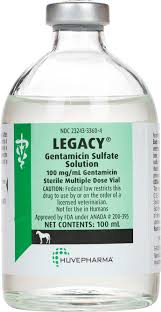 Image result for Gentamicin