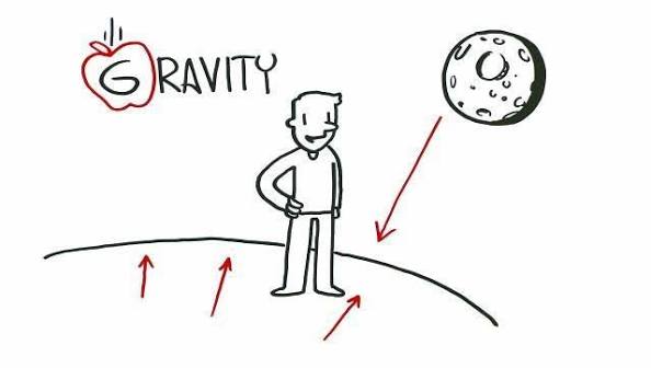 Measuring gravity - ABC Education