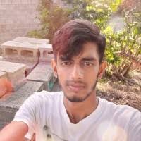 200+ "Simon Or" profiles