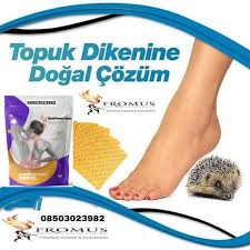 Ogrenci Ek Is Panosundaki Pin