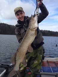 More images for gädda » Gadda 6kg Fiskekungen Com