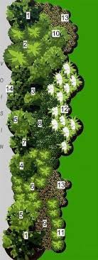Lily Flowers Landscape Design Photinia Red Robin Viburnum Opulus Flower Landscape