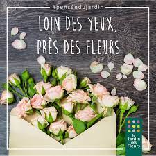 loin des yeux pres des fleurs fleur jardin fleurs jardins