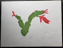 With hanging branches that can grow up to 3 feet long and flowers that come in vibrant colors, the plant makes a mesmerizing choice to sit with any home decor. Linoleum Block Print Of A Northern California Plant Or Flower Christmas Cactus Signed And Numbered By Dr Edmund E Simpson