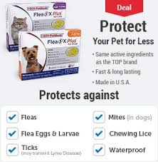 How does revolution for dogs and cats work? Revolution For Cats Dogs Free Shipping 1800petmeds Category Uuid C4897c1431160dd578e5bd532f