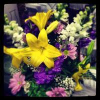 Maybe you would like to learn more about one of these? Royer S Flowers Gifts Flower Shop