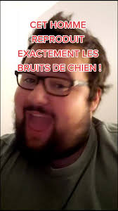 Bruit Grincement Dodane