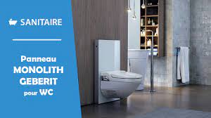 Pour un devis, on m a proposé de me mettre des toilettes suspendu, j'ai dis oui pourquoi pas. Geberit Ensemble Panneau Monolith Suspendu Cuvette Au Choix Distriartisan