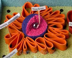 Homework Helper How To Build A 3 D Plant Cell Model Plant Cell Project Plant Cell Model Cells Project