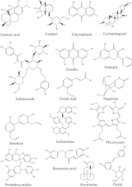 Anti Ageing Active Ingredients From Herbs And Nutraceuticals Used In Traditional Chinese Medicine Pharmacological Mechanisms And Implications For Drug Discovery Shen 2017 British Journal Of Pharmacology Wiley Online Library