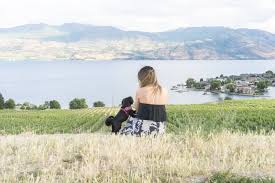 Median cost of a home. 23 Dog Friendly Wineries In Kelowna Bc Adventure We Seek