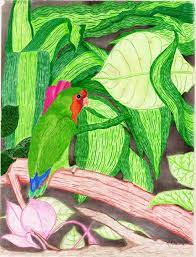 Without further ado, here are 20 amazing animal pictures of camouflage examples. Camouflage Polly Kfmconcepts Art Gallery Drawings Illustration Animals Birds Fish Birds Parrots Amazon Parrot Artpal