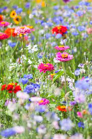 December 16, 2019 by nicole perry. Wilder Garten Checkliste Hast Du Einen Wilden Garten
