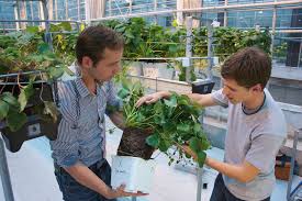 Http Fh Has De Int Food Agribusiness Horticulture And Business Management Lebensmitteltechnik Studieren An Fachhochschule Agrarwissenschaften Hochschule