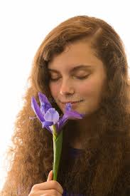 Blue Iris Flower Curl Stock Photos