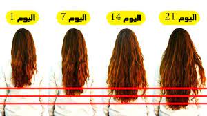 7 أطعمة لزيادة سرعة نمو الشعر youtube