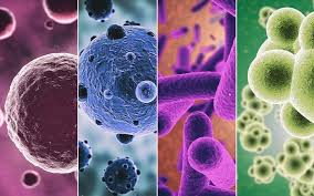 Is Your Infection Bacterial or Viral? | University Hospitals