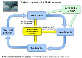 This condition has not been clearly defined, but it is likely associated with an increase in. Pulmcrit Brash Syndrome Bradycardia Renal Failure Av Blocker Shock Hyperkalemia