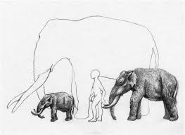 Elephant is an unincorporated community in bedminster township, bucks county, pennsylvania, united states, on the se side of lake nockamixon. Dinosaurs And The Island Rule The Dwarfed Dinosaurs From HaÅ£eg Island Sciencedirect