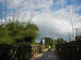 File:06620jfPaddy fields grasslands Upig Salapungan San Rafael Ildefonso  Bridge Bulacanfvf 26.jpg