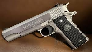 Image result for Grace Silver 1989 Colt