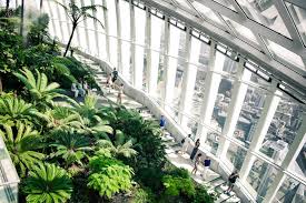 Share pictures, locations to visit, and useful tips on how to create your own elevated paradise. Sky Garden See Free Views Of London From The Top Of A Skyscraper