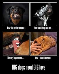 They Might Be Giants You Probably Get That A Lot Big Love My Big Dog Large Dog Breeds In The Uk Big Dogs Dogs Large Dog Breeds