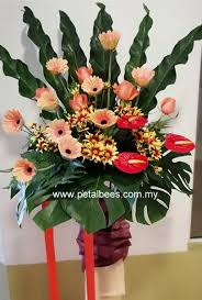 Petalbees is a florist (kedai bunga) located in ampang, kuala lumpur (kl). Kedai Bunga Florist Flower Delivery Kl Petalbees Fs0102 Opening Flowers Stand