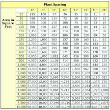 How To Determine How Many Plants To Fill A Space Or Area