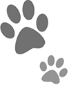 Maybe you would like to learn more about one of these? On Doody Pet Waste Removal Service Llc
