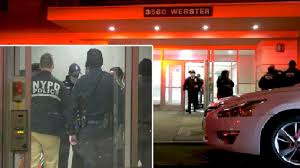Make social videos in an instant: Gunman Shot 2 At Party Then Killed Teen Trying To Return Home In Stairwell Of Norwood Bronx Building Abc7 New York