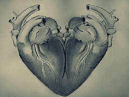 Is your network connection unstable or browser. Unknown Facts Heart Logo That You Use For Love Is Actually Two Human Hearts Fused Together Today I Learned Something New
