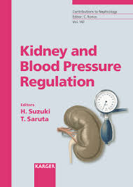 The most scientific community emphasizes or connects the renin secretion (which is primarily released in kidneys) to blood pressure. Kidney And Blood Pressure Regulation Karger Publishers