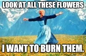 I just want flowers meme. Burn The Flowers I Love Plants Just Thought It Would Be Funny 3 Imgflip