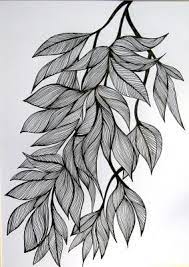 Leaves Drawing Google Zoeken Flower Drawing Design Leaf Drawing Flower Drawing