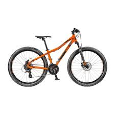 Ktm Wild Speed 26 24 Disc Kinder Mountainbike Orange Jetzt Bei Intersport Kaufen Kinder Mountainbike Kinder Fahrrad Mountainbike