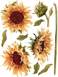 Beach themed furniture transfers images of happy. Iod Transfers 2020 The New Fall Release Is Here Iron Orchid Designs