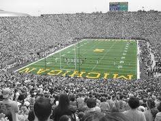 227 Best Born A Fan Go Blue Images Go Blue Michigan