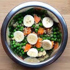 When preparing a meal for a diabetic dog it is very important to consult your vet or canine nutritionist first. Purchase Diabetic Dog Food Homemade Up To 79 Off
