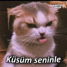 Sen Gitme Iste Ara Verildi 2020 Komik Seyler Disney Alintilari Komik Deyisler